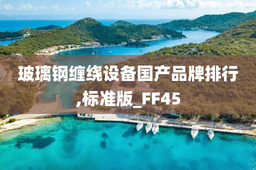 玻璃钢缠绕设备国产品牌排行,标准版_FF45