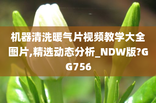 机器清洗暖气片视频教学大全图片,精选动态分析_NDW版?GG756