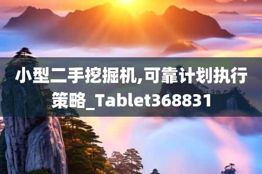 小型二手挖掘机,可靠计划执行策略_Tablet368831