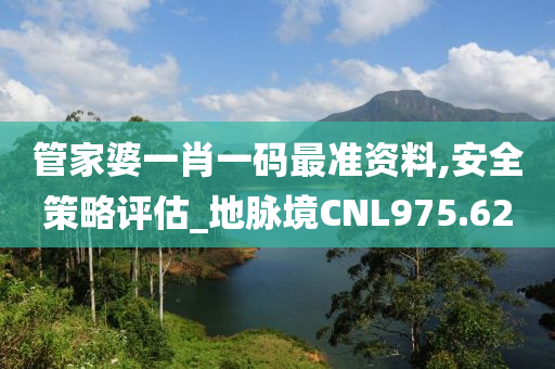 管家婆一肖一码最准资料,安全策略评估_地脉境CNL975.62