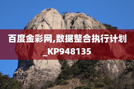 百度金彩网,数据整合执行计划_KP948135