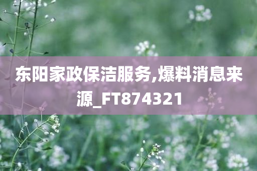 东阳家政保洁服务,爆料消息来源_FT874321