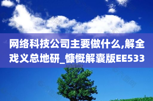 网络科技公司主要做什么,解全戏义总地研_慷慨解囊版EE533