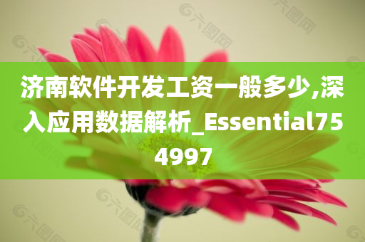 济南软件开发工资一般多少,深入应用数据解析_Essential754997