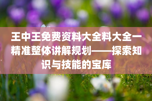 王中王免费资料大全料大全一精准整体讲解规划——探索知识与技能的宝库