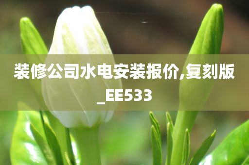 装修公司水电安装报价,复刻版_EE533