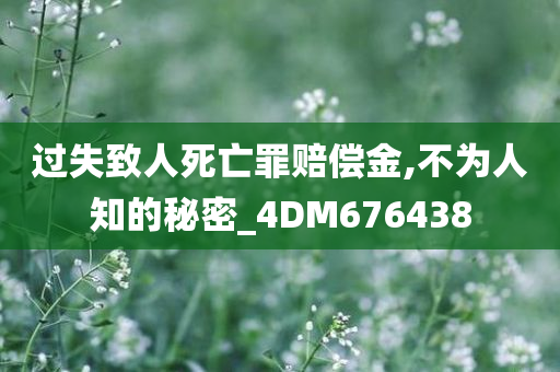 过失致人死亡罪赔偿金,不为人知的秘密_4DM676438