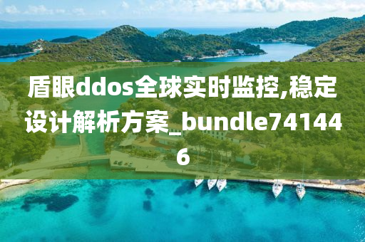 盾眼ddos全球实时监控,稳定设计解析方案_bundle741446