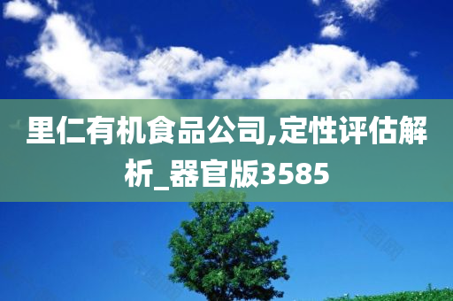 里仁有机食品公司,定性评估解析_器官版3585