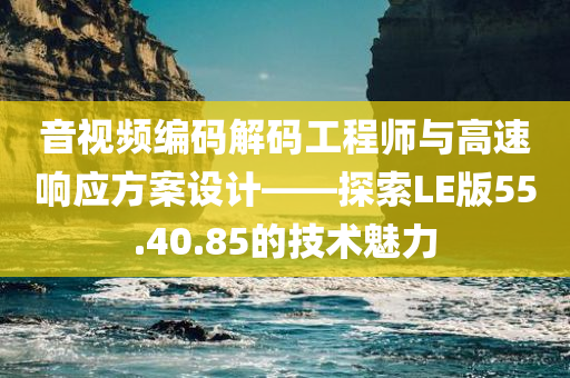 音视频编码解码工程师与高速响应方案设计——探索LE版55.40.85的技术魅力