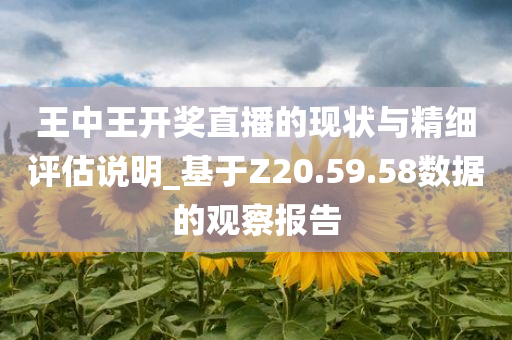 王中王开奖直播的现状与精细评估说明_基于Z20.59.58数据的观察报告