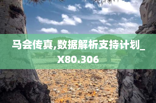 马会传真,数据解析支持计划_X80.306