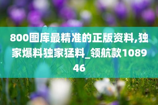 800图库最精准的正版资料,独家爆料独家猛料_领航款108946