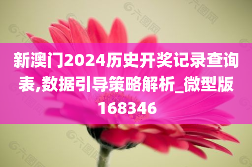 新澳门2024历史开奖记录查询表,数据引导策略解析_微型版168346