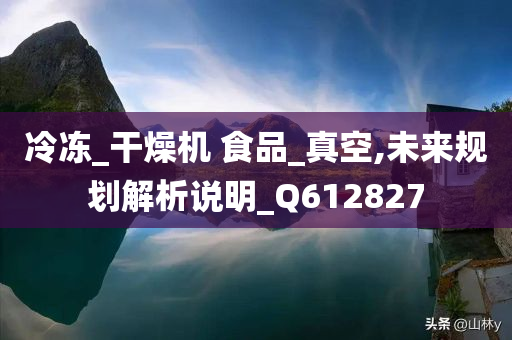 冷冻_干燥机 食品_真空,未来规划解析说明_Q612827