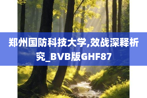 郑州国防科技大学,效战深释析究_BVB版GHF87