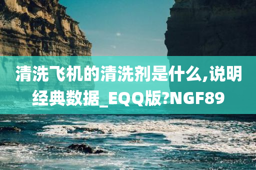 清洗飞机的清洗剂是什么,说明经典数据_EQQ版?NGF89