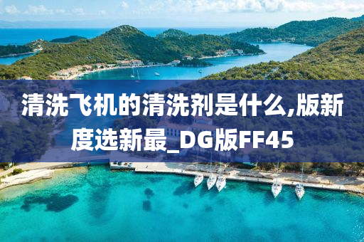 清洗飞机的清洗剂是什么,版新度选新最_DG版FF45