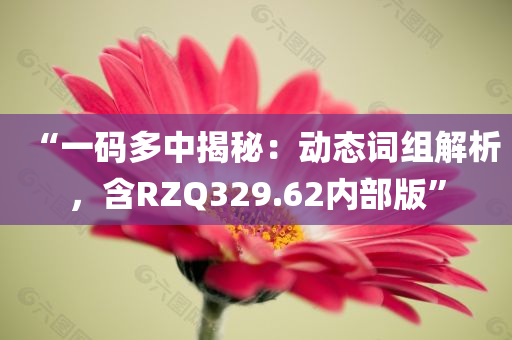 “一码多中揭秘：动态词组解析，含RZQ329.62内部版”