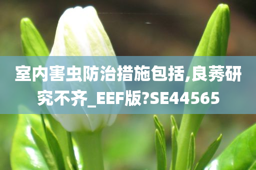 室内害虫防治措施包括,良莠研究不齐_EEF版?SE44565