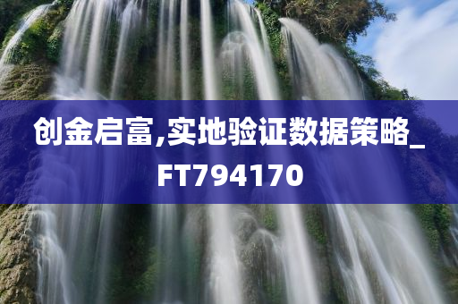 创金启富,实地验证数据策略_FT794170