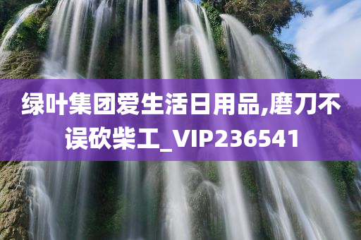 绿叶集团爱生活日用品,磨刀不误砍柴工_VIP236541