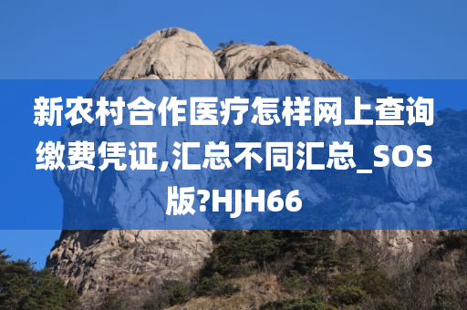 新农村合作医疗怎样网上查询缴费凭证,汇总不同汇总_SOS版?HJH66