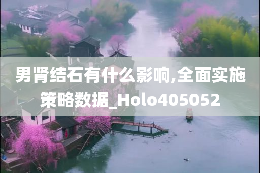 男肾结石有什么影响,全面实施策略数据_Holo405052