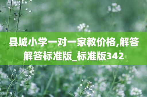 县城小学一对一家教价格,解答解答标准版_标准版342