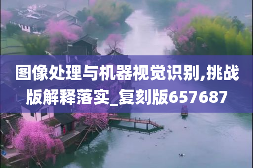 图像处理与机器视觉识别,挑战版解释落实_复刻版657687