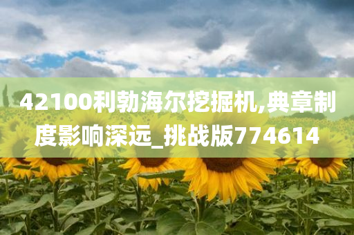 42100利勃海尔挖掘机,典章制度影响深远_挑战版774614