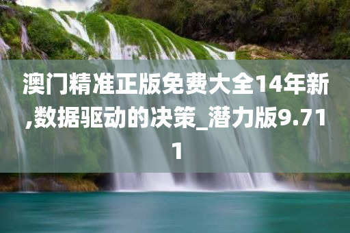 澳门精准正版免费大全14年新,数据驱动的决策_潜力版9.711