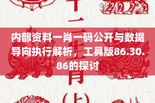 内部资料一肖一码公开与数据导向执行解析，工具版86.30.86的探讨