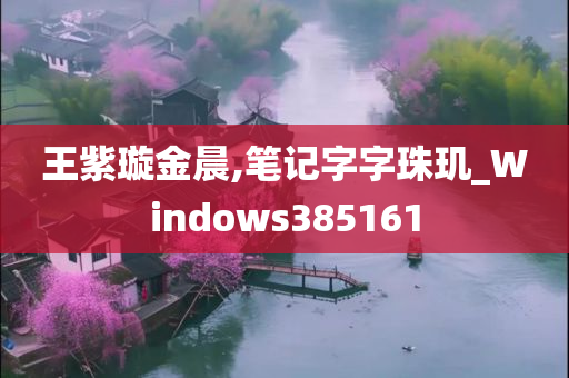 王紫璇金晨,笔记字字珠玑_Windows385161