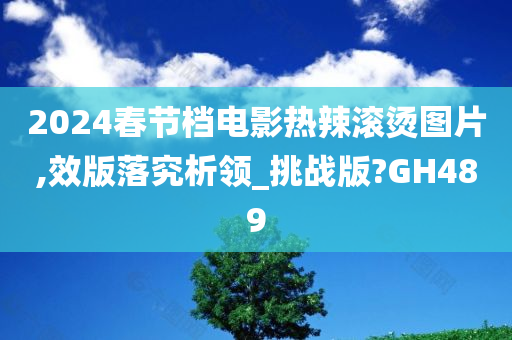 2024春节档电影热辣滚烫图片,效版落究析领_挑战版?GH489