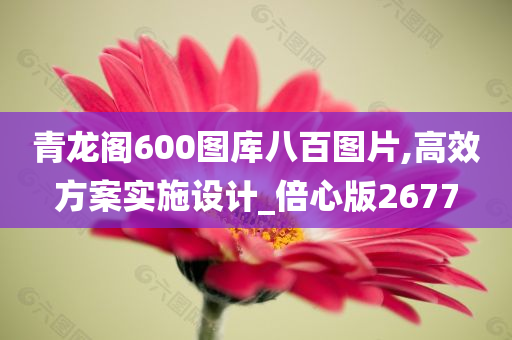 青龙阁600图库八百图片,高效方案实施设计_倍心版2677