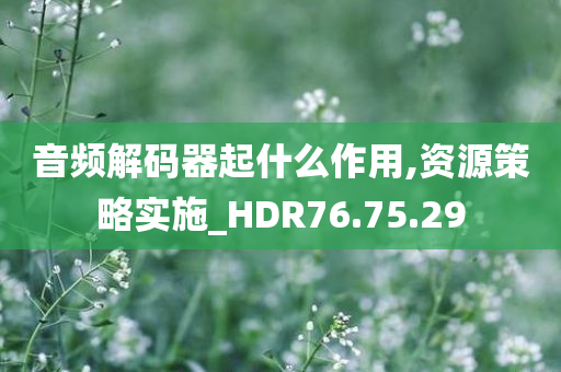 音频解码器起什么作用,资源策略实施_HDR76.75.29