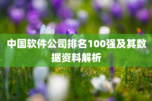 中国软件公司排名100强及其数据资料解析