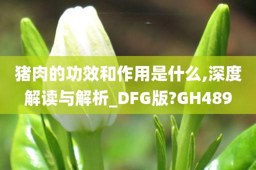 猪肉的功效和作用是什么,深度解读与解析_DFG版?GH489