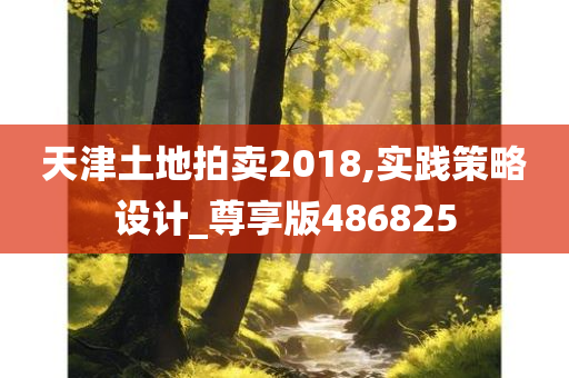 天津土地拍卖2018,实践策略设计_尊享版486825