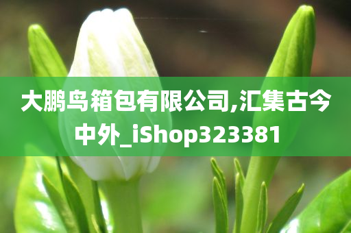 大鹏鸟箱包有限公司,汇集古今中外_iShop323381