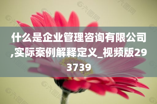 什么是企业管理咨询有限公司,实际案例解释定义_视频版293739