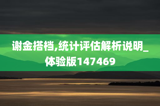 谢金搭档,统计评估解析说明_体验版147469