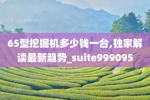 65型挖掘机多少钱一台,独家解读最新趋势_suite999095