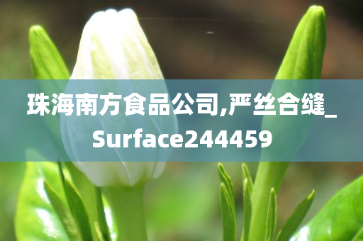 珠海南方食品公司,严丝合缝_Surface244459