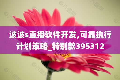 波波s直播软件开发,可靠执行计划策略_特别款395312