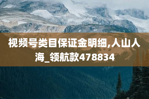 视频号类目保证金明细,人山人海_领航款478834