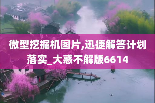 微型挖掘机图片,迅捷解答计划落实_大惑不解版6614