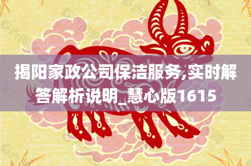 揭阳家政公司保洁服务,实时解答解析说明_慧心版1615