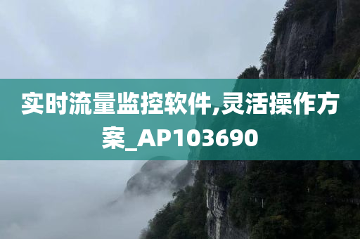 实时流量监控软件,灵活操作方案_AP103690